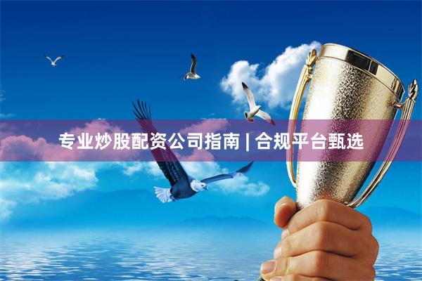 专业炒股配资公司指南 | 合规平台甄选
